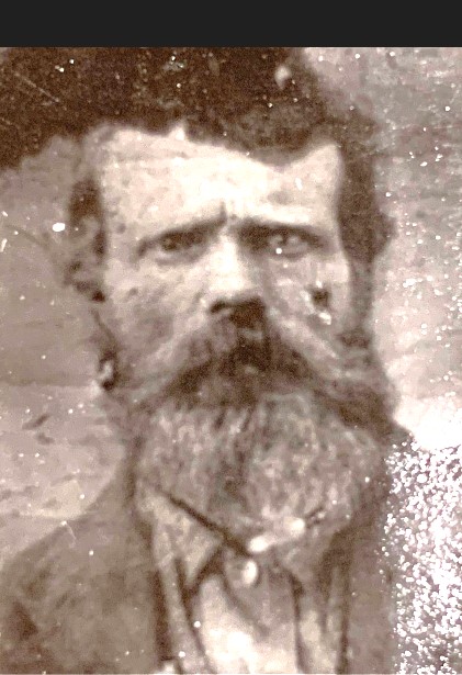 Alpheus Amuleck Harmon (1839 - 1916) Profile